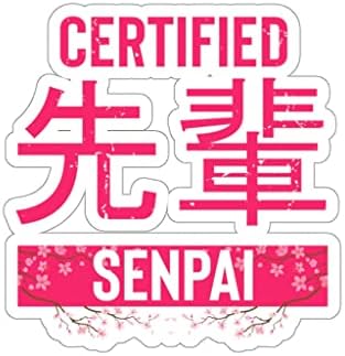 20oz izolirana boca šaljiva certificirana senpai japan manga mentor mentorstvo urnebesni instruktor 3 × 3 / bijela