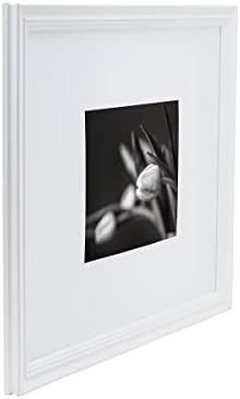 Studio Nova okvir za slike prikazuje 8 x 10 fotografija 16 x 20 bez prostirke, bijelo