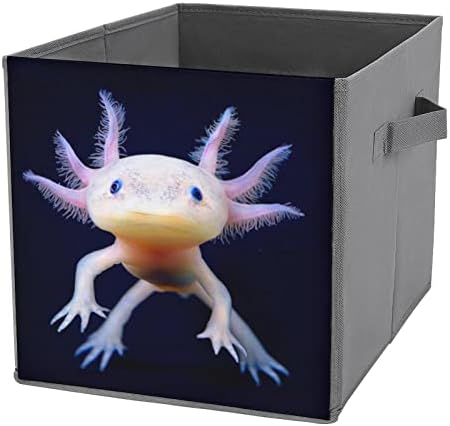 Axolotls Skladivi kockice za pohranu tkanina kutija 11 inča sklopive kante za pohranu s ručkama