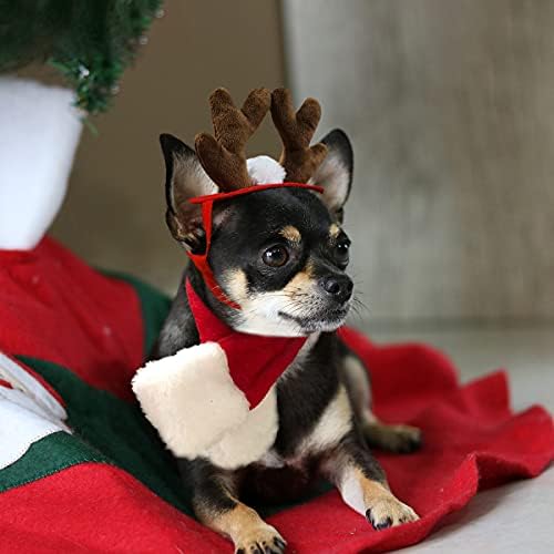 Uživajte u božićnoj odjeći za mačke, šeširu od jelenskog roga za štene s božićnim šalom, kostimu zečića za psa, božićnoj